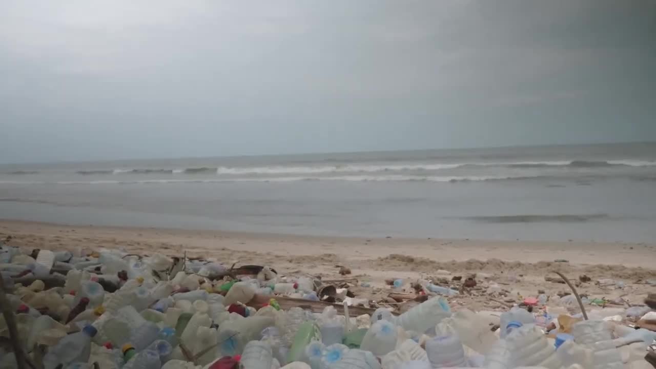 Voice of Waste Masks still